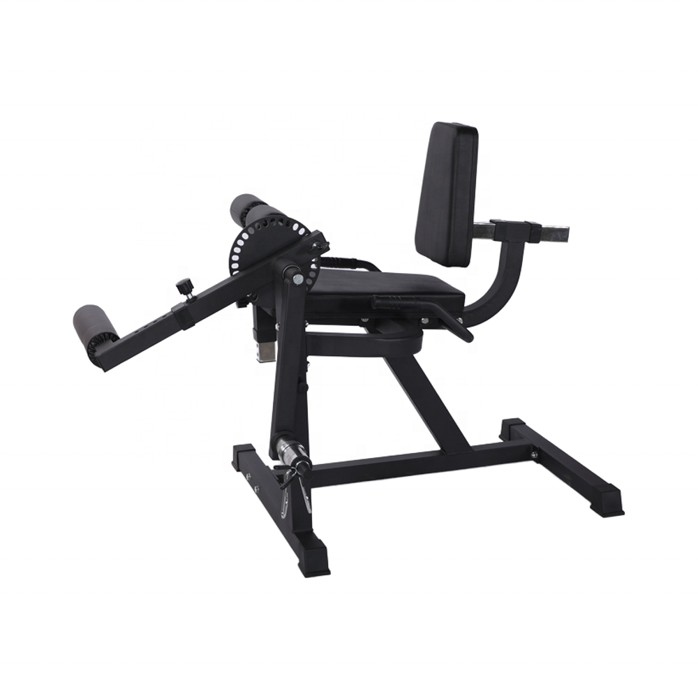 フィットネスプレートロードマシン レッグエクステンション＆レ - Vertical Leg Press のレビューと価格
