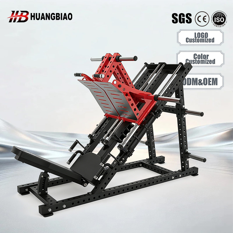 家庭用および業務用ジム向けレッグエクステンション＆シーテッド - Home Gym With Leg Press のレビューと価格