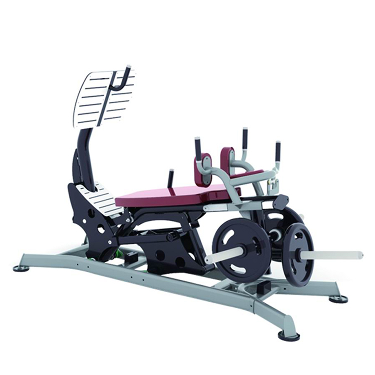 ホットセール中！ジム機器 レッグプレスマシン MS629 デ - Home Gym With Leg Press のレビューと価格