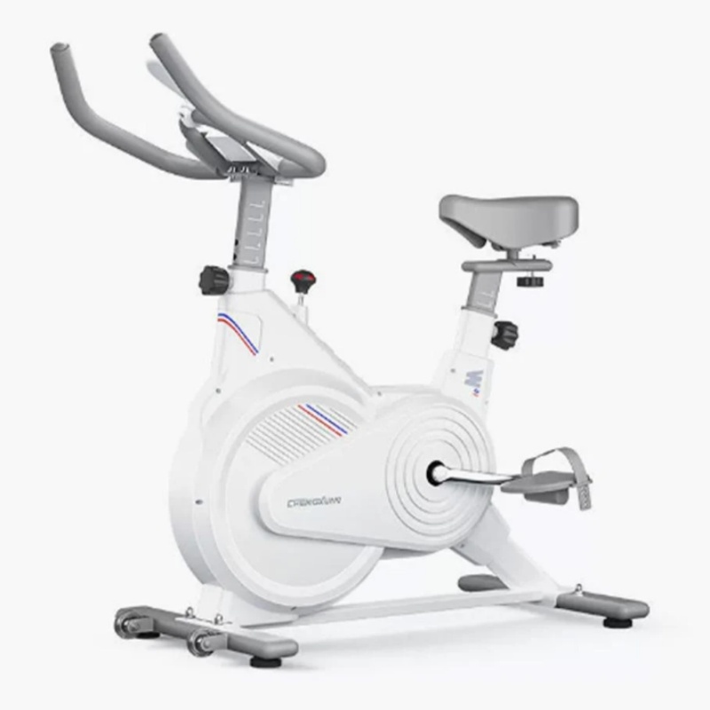 室内固定式スピンバイク、静音磁気抵抗エクササイズバイク（LC - Home Gym No Equipment のレビューと価格