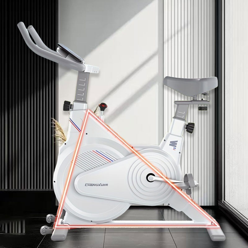 室内固定式スピンバイク、静音磁気抵抗エクササイズバイク（LC - Home Gym No Equipment のレビューと価格