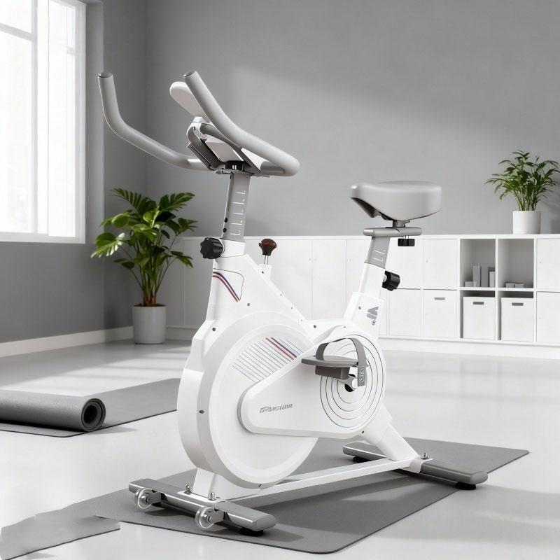 室内固定式スピンバイク、静音磁気抵抗エクササイズバイク（LC - Home Gym No Equipment のレビューと価格
